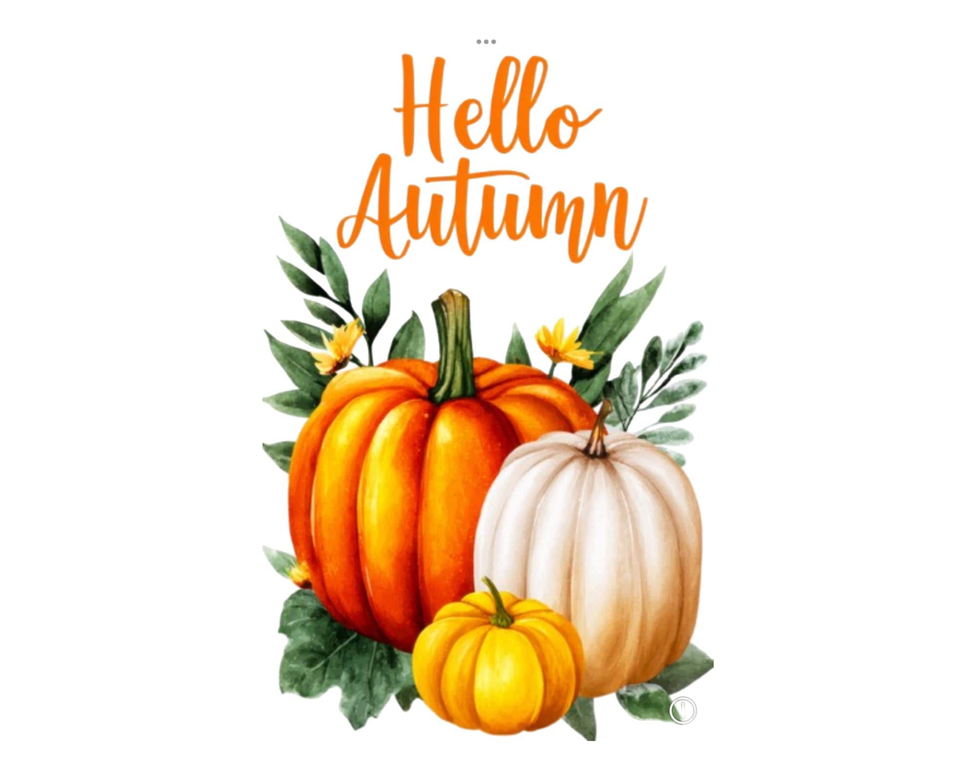 Cozy Fall Kitchen Towels | Autumn-Themed Decorative Microfiber Tea Towels | Seasonal Harvest & Pumpkin Spice Designs