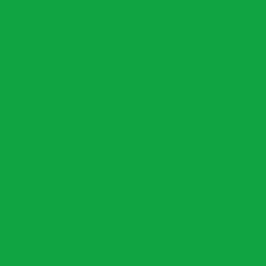 May include: Solid green background. The image is a single, uniform shade of green, filling the entire frame. The color is a vibrant, medium green.