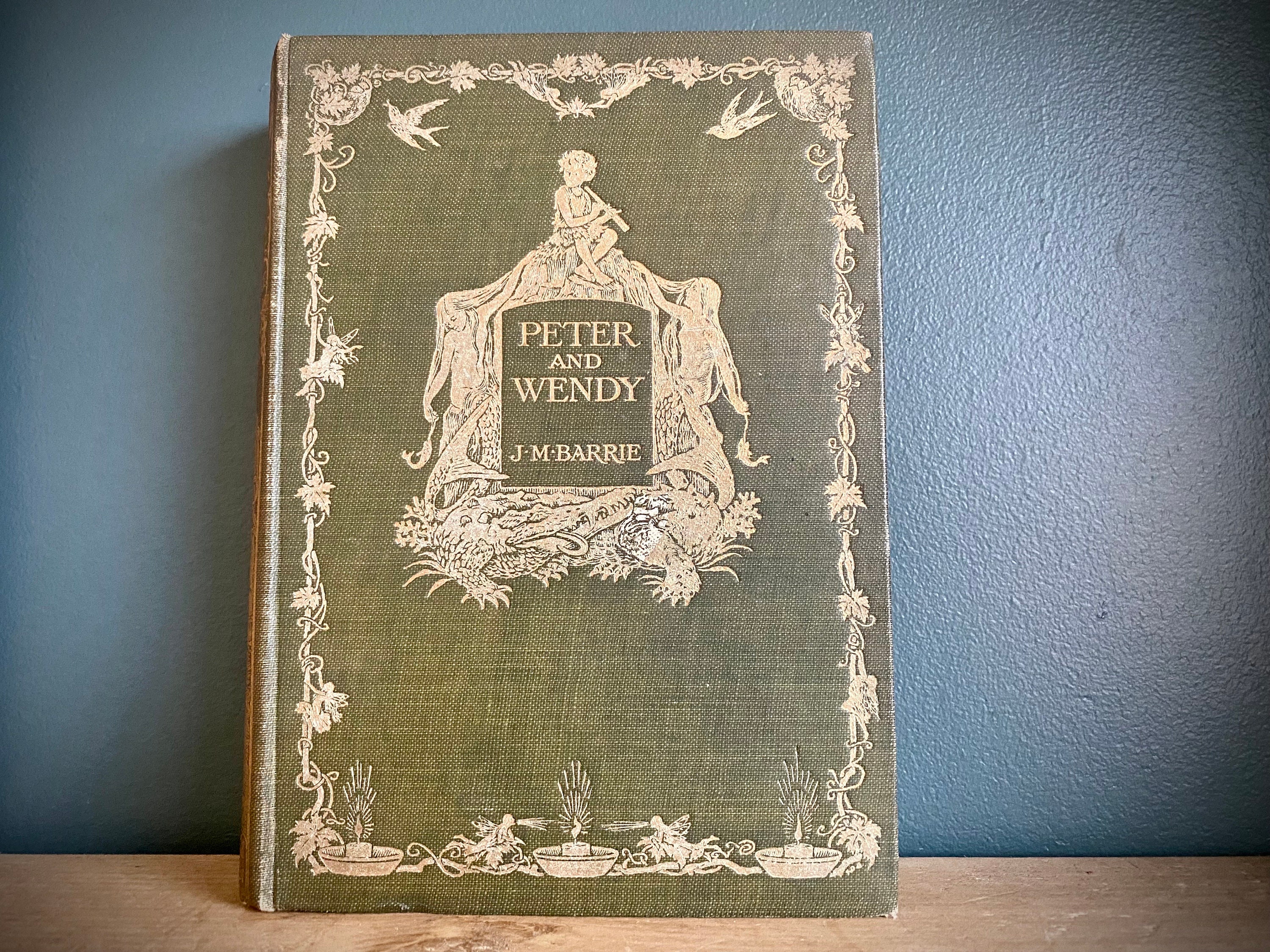 ORIGINAL PETER PAN BOOK 1911 visual data 6