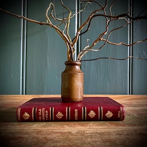The Old Curiosity Shop by Charles Dickens