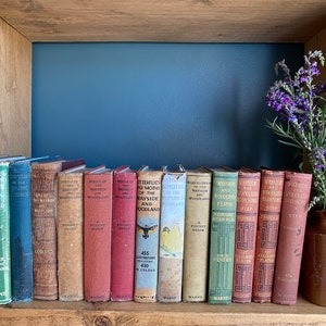 Wayside and Woodland Books - Warne & Co - Auswahl erhältlich