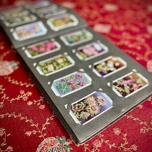 Zigaretten Fotoalbum - Wills Wild Flowers