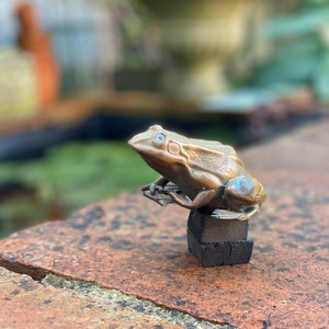 Metal Frog Ornament