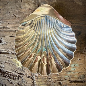 Puede incluir: Un plato brillante en forma de concha de color plateado con un borde festoneado. El plato tiene una superficie reflectante y está sobre un fondo de madera rústica. Las crestas de la concha crean un patrón texturizado.