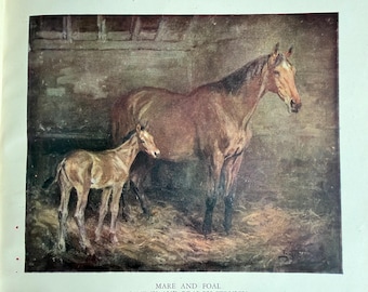 Vintage Buch - Sketches in Stable & Kennel von Lionel Edwards - 1944