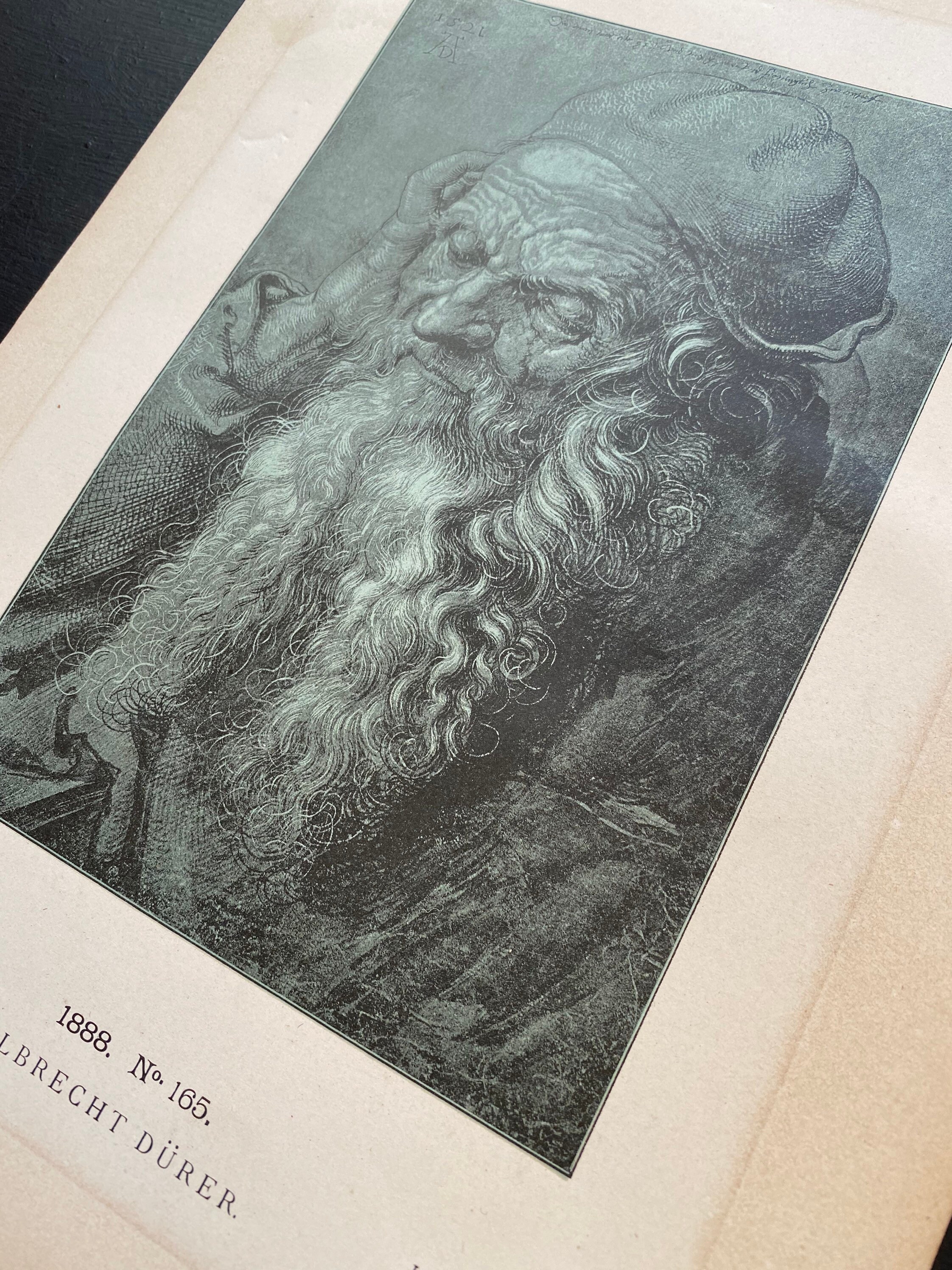 アルブレヒト・デューラー版画：老人の頭、1521年 - Der Formenschatz