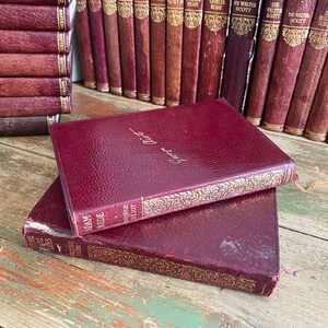 May include: Two burgundy leather-bound books with gold lettering and decorative designs. The top book has the title "Adam Bede" and the bottom book has the title "The Mill on the Floss".