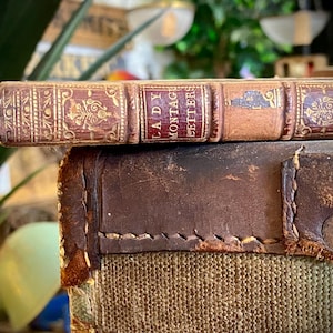 Op de afbeelding: Een vintage, in leer gebonden boek met gouden accenten en de titel "Lady Montague Letters" op de rug. Het boek ligt op een bruine leren koffer met een canvas bodem.