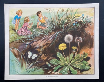 Affiche en classe - Eileen Soper Print - The Dandelion Clocks