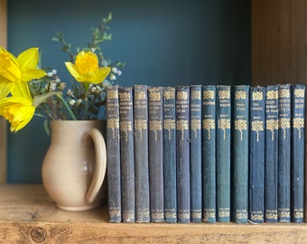 Novelas de Walter Scott Waverley: 14 libros antiguos encuadernados en cuero