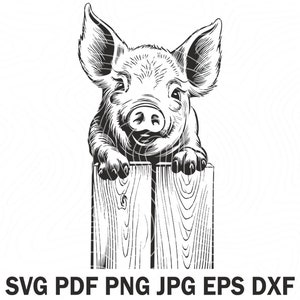 Carino fattoria divertente maiale il recinto SVG File, carino maiale fattoria Svg, maiale dicendo Svg, amante del maiale camicia file in formato Svg, divertente maialino sorridente con esso Svg