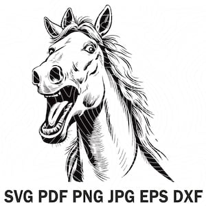 Lustig wieherndes Pferd PNG Clipart Niedliche schwarze Sublimation Reiten PNG Kommerzielle Nutzung Lustiges Pferdegesicht Grafikdesign Illustration Pferdedruck