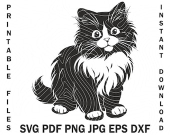 Gato peludo SVG, elegante silueta de felino de pelo largo, gato SVG, Cricut, amante de los gatos SVG, archivo de gato Cricut, vector de gato peludo svg, png, eps, dxf