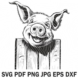Smile Farm Cute Pig over the Fence Svg Engraving Files For Glowforge and Printing, Pig Face Print Files For Silhouette Pig Stencil Vector