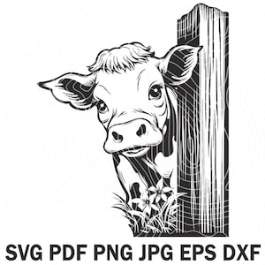 May include: A black and white line drawing of a cow peeking around a wooden fence post. The cow is looking directly at the viewer with a friendly expression. The drawing is simple and stylized, with a focus on the cow's face and the fence post.