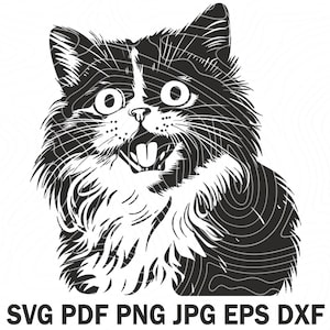 Fluffig katt SVG, rolig katt Svg, katt T-shirt SVG, elegant långhårig katt silhuett, perserkatt SVG, husdjur silhuett, kattälskare