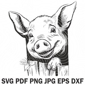 Svg design Cute pig looking from behind the fence hole, pig SVG file, Pig Laser Engraving Project, Animal Farm Face, Farm t-shirt Printable