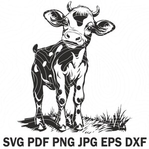 Op de afbeelding: Zwart-witte lijntekening van een kalf dat in een grasveld staat. Het kalf heeft een gevlekt patroon en kijkt naar links.