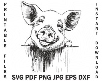 Show Pig behind the Fence SVG | Pig Hog Farm Png show animals | Pig Show vector stencil design | County Fair Svg | State Fair exhibition dxf