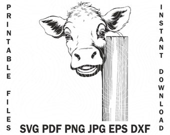 Cow peeking out from behind the corner Svg Digital Mockup Design For Shirt, Cow Cut file | Cow clipart | Cow engrave dxf | Cow Stencil pdf