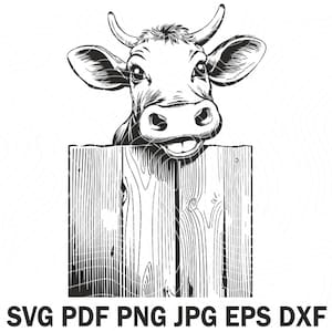 Peut inclure: Un dessin au trait noir et blanc d'une vache regardant par-dessus une clôture en bois. La vache a une expression amicale et regarde directement le spectateur.