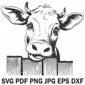 May include: Black and white line art illustration of a cow's head peeking over a fence. The cow has large, expressive eyes and a friendly expression.