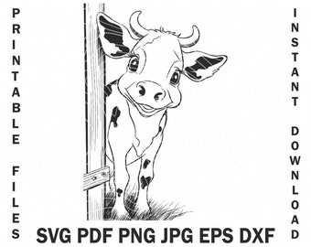 Vache bébé mignon souriant jette un coup d'oeil derrière la clôture SVG, Clipart Svg de bébé mignon vache, vache Svg Clipart vectoriel impression et gravure fichier Png Dxf Cdr