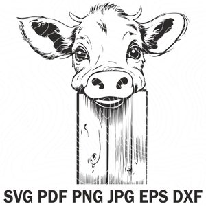 Svg Vector Jovial Cow Near Backyard fence SVG | Calf Head Design | Black & White Art Print | Muzzle Heifer Svg | Farmyard Engraving Dxf
