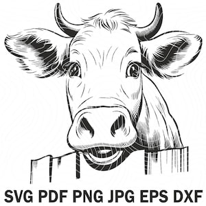 Cute Cow Behind Fence SVG Vector Design | Calf Head AI Png | Art Print & Download | Heifer Muzzle Svg | Wooden Yard Dxf for Farming Decor