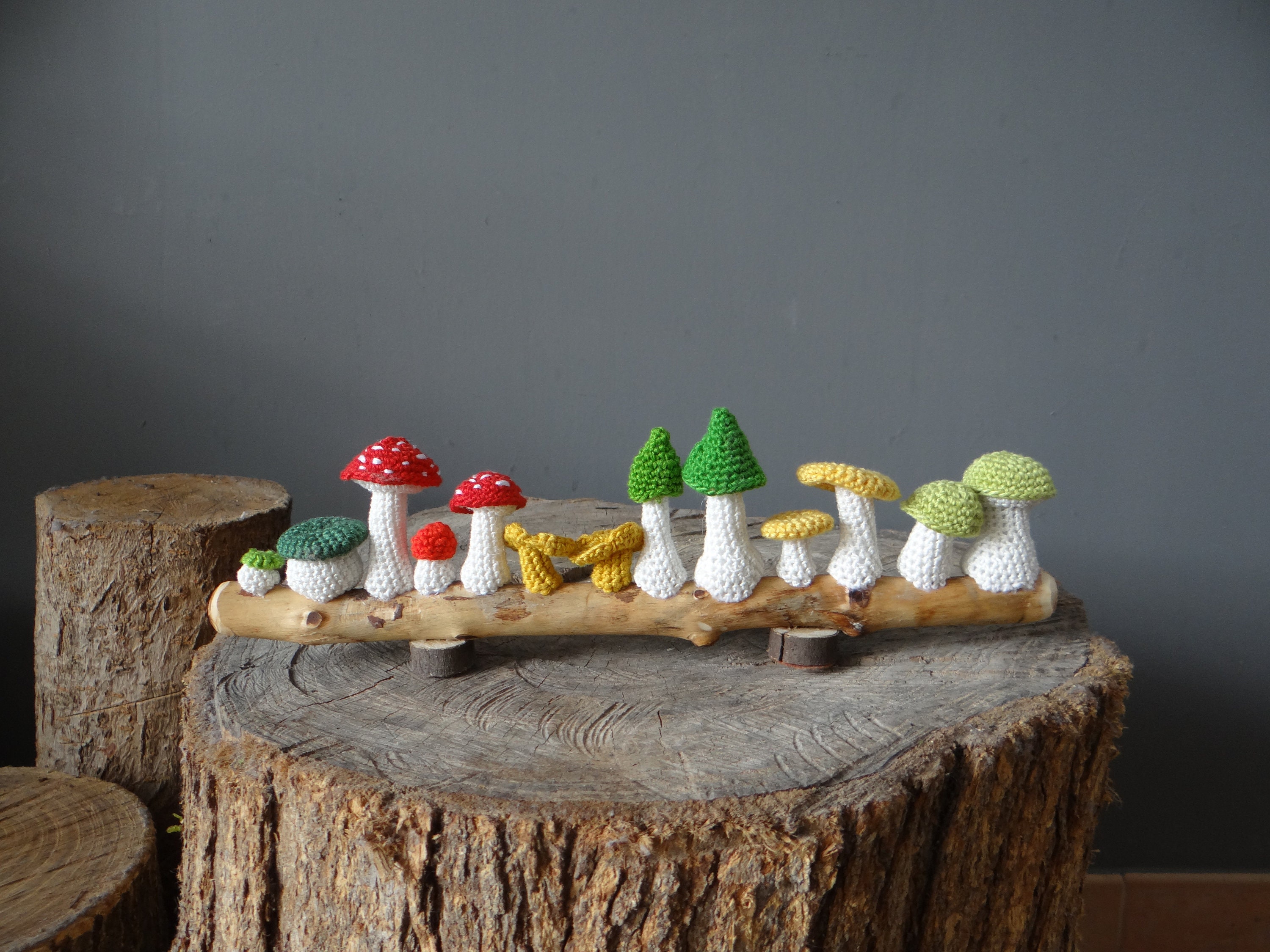Décoration Bois et Champignons Au Crochet