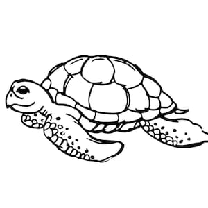 May include: A black and white line drawing of a sea turtle swimming to the right. The turtle has a round shell with a pattern of lines and dots.