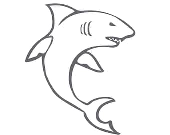 Free Free 344 Shark Outline Svg Free SVG PNG EPS DXF File