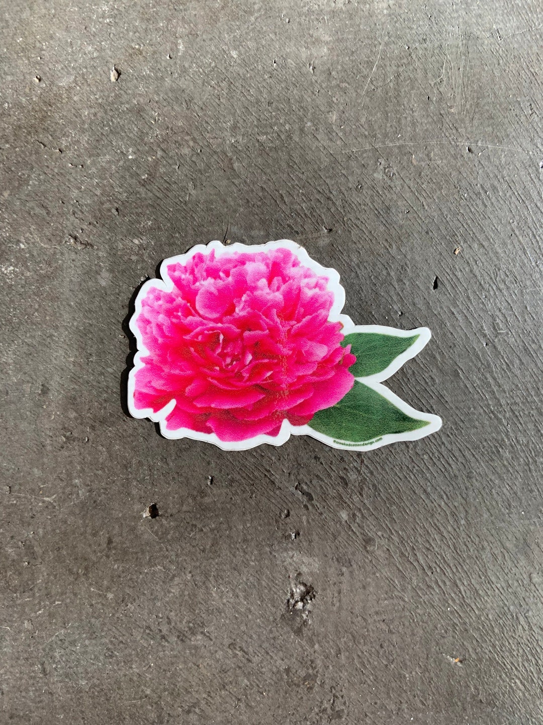 STICKER Pink Peony Flower | Floral Sticker | Waterproof | 2.75"w X 2"t ...