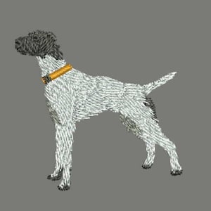 以下が含まれることがあります： 黒と白のドイツ短毛指示犬が左を向いて立っています。犬はオレンジ色の首輪をしています。
