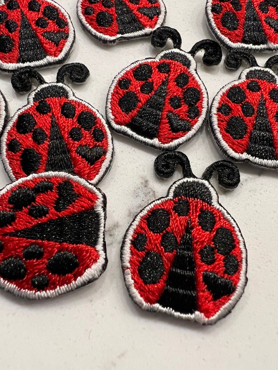 GSHLLO 10 Parches Bordados Para Planchar Con Diseño De