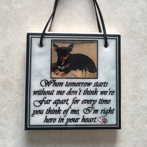 Pet Sympathy gift / Dog loss gift / Pet loss gift / cat memorial / custom pet gift / cat custom gift /  dog sympathy gift
