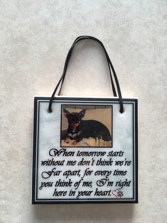 Pet Sympathy gift / Dog loss gift / Pet loss gift / cat memorial / custom pet gift / cat custom gift /  dog sympathy gift