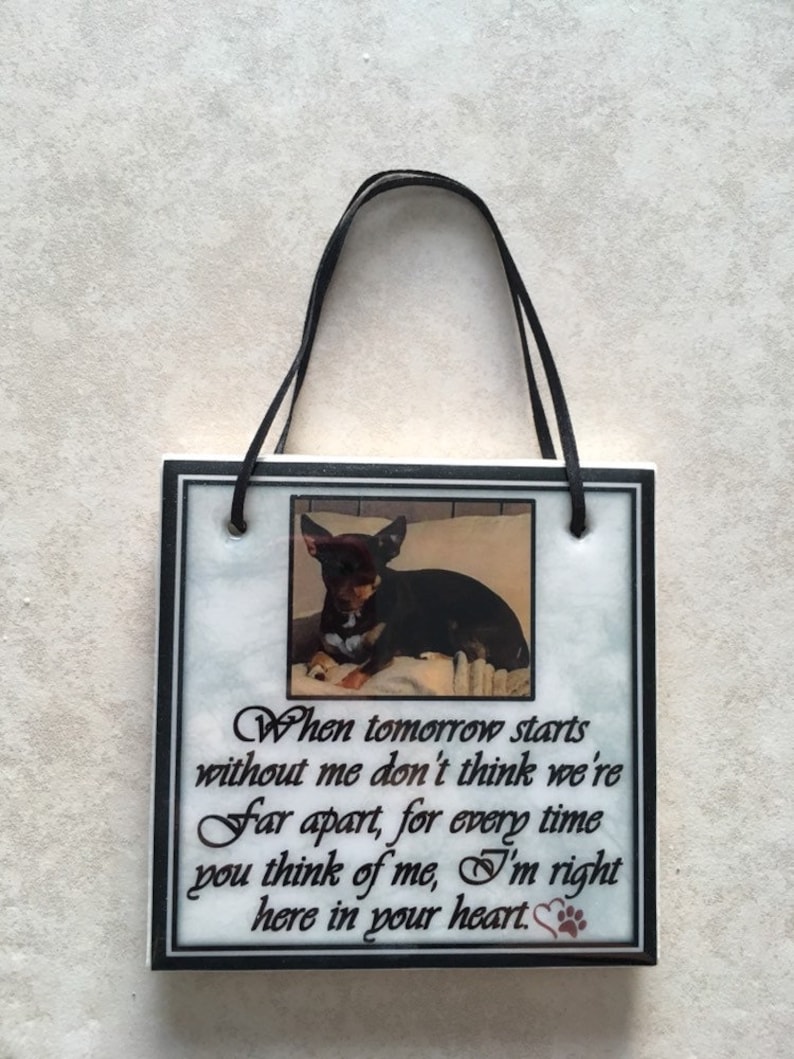 Pet Sympathy gift / Dog loss gift / Pet loss gift / cat Etsy