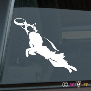 Border Collie Frisbee Disc Dog Die Cut Vinyl Sticker v4-1316