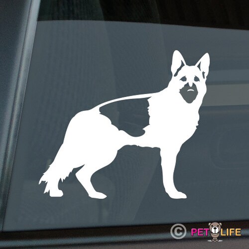 Border Collie Frisbee Disc Dog Die Cut Vinyl Sticker v4-1316
