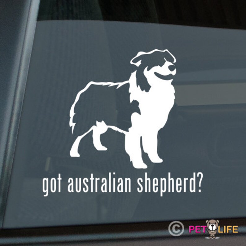 #2 dog aussie In Case of Emergency Rescue My Australian Shepherd Sticker Vinyl