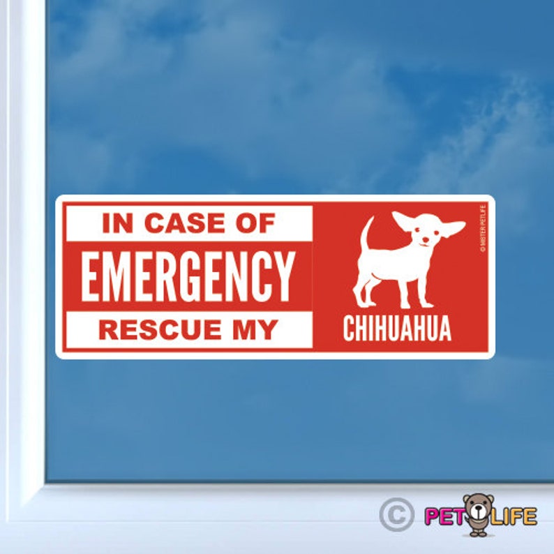 117 In Case of Emergency Rescue My Chihuahua Die Cut Vinyl Sticker dog safety