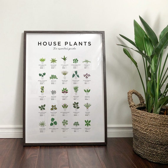 House Plants Print Plant Poster Houseplants Print Plant Etsy