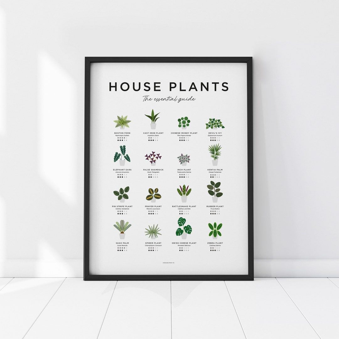 House Plants Print Plant Poster Houseplants Print Plant image