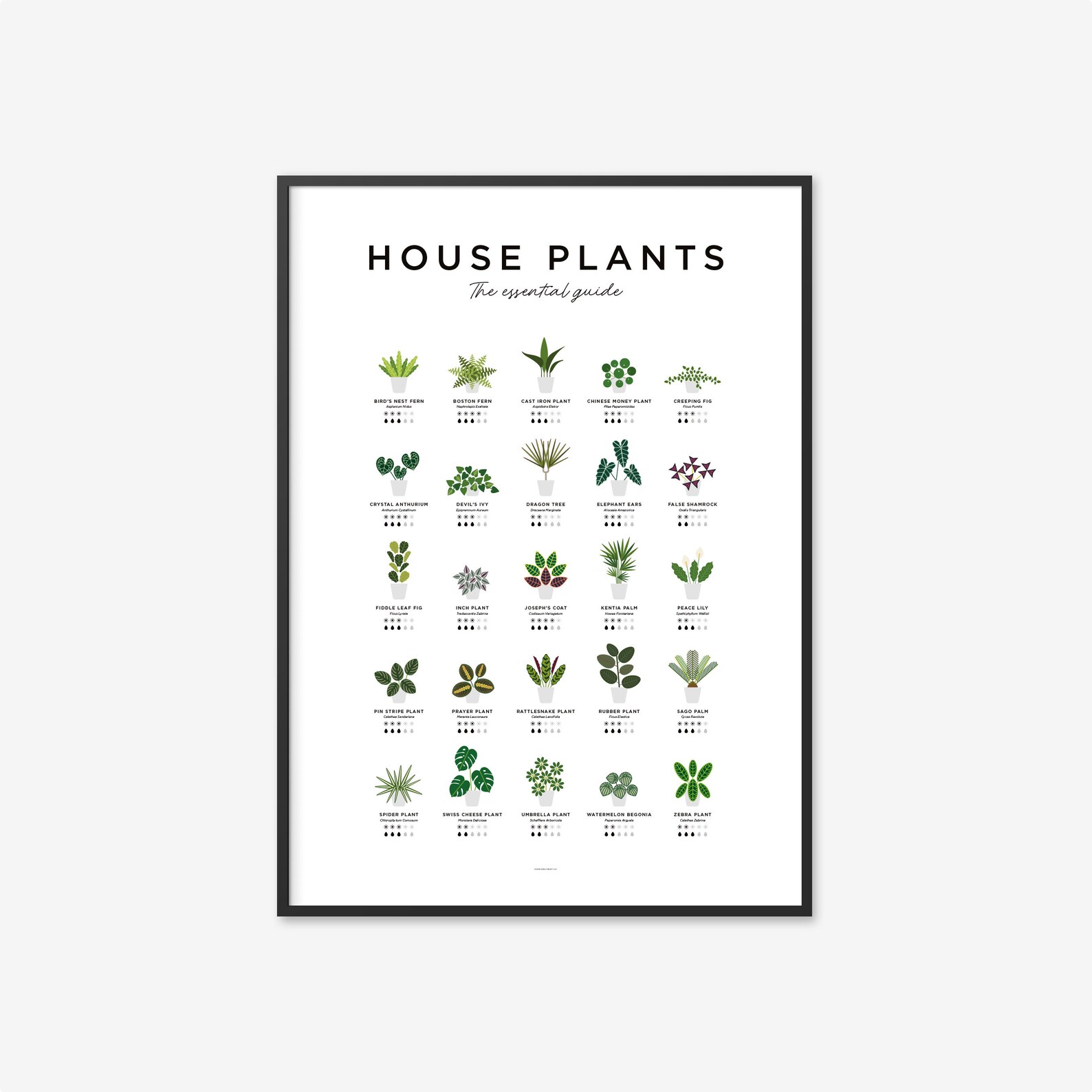 House Plants Print Plant Poster Houseplants Print Plant Etsy