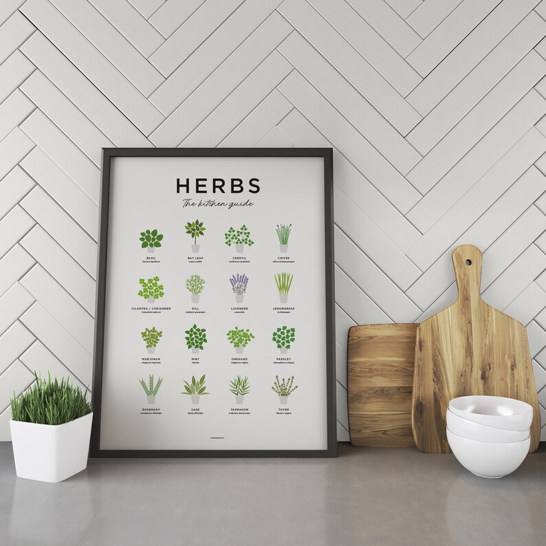 Herb Print Fresh Culinary Herbs Kitchen Herb Print Kitchen - Etsy UK