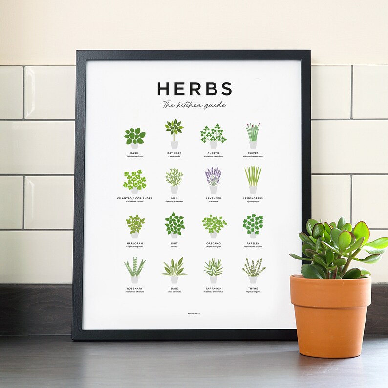 Herb Print Fresh Culinary Herbs Kitchen Herb Print Kitchen Etsy