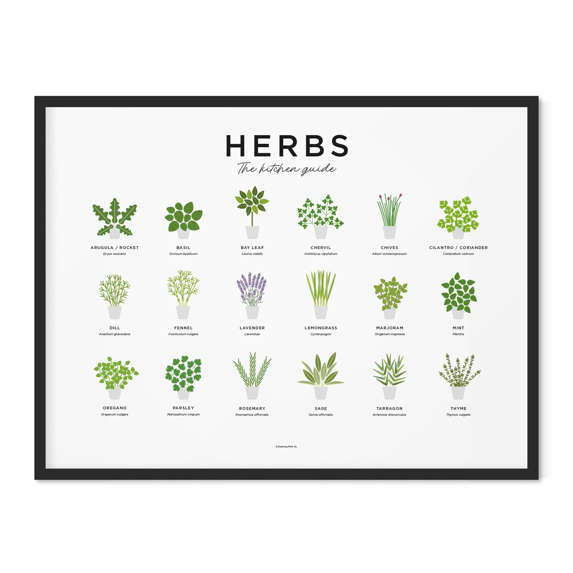 Herbs Guide Print Kitchen Herb Prints Herb Poster Botanical Etsy UK