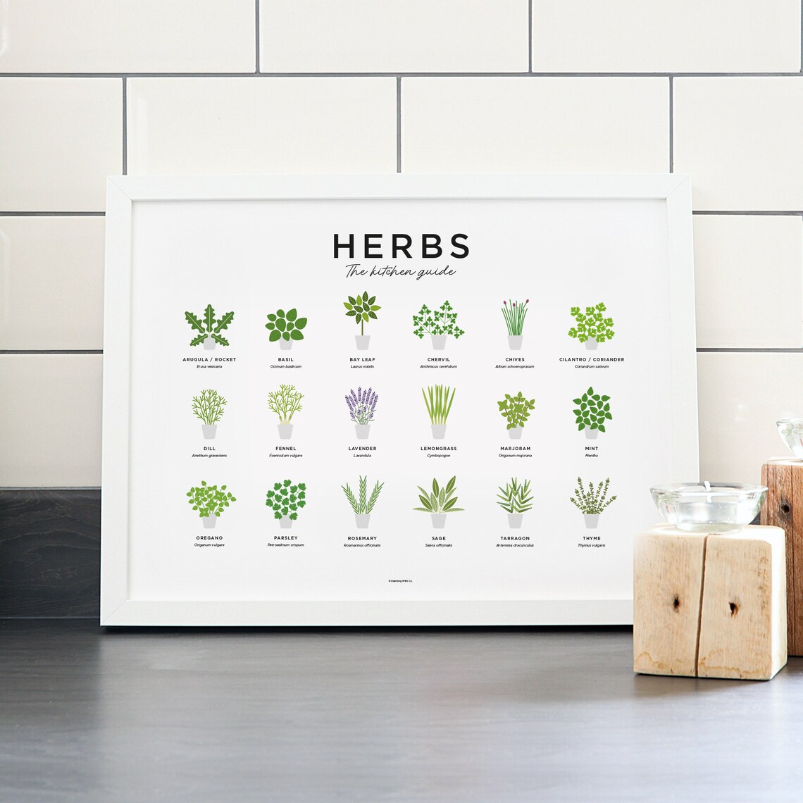 Herbs Guide Print Kitchen Herb Prints Herb Poster Botanical Etsy