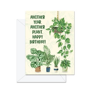 Une autre année. Une autre plante. Joyeux anniversaire !